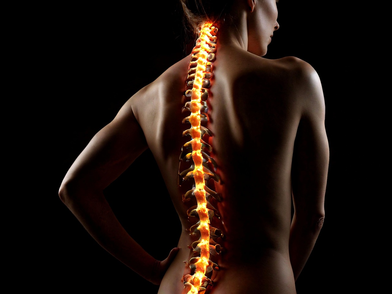 body spine